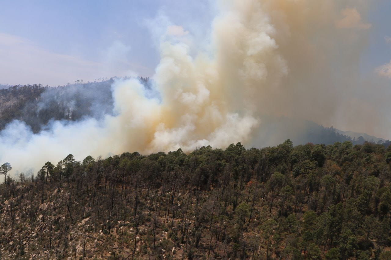 Brigadistas Controlan Incendio Forestal En Libres Y Dirigen Esfuerzos