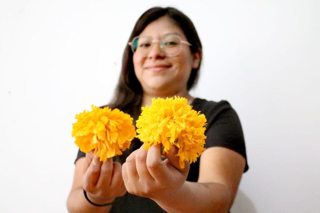 La luciernaga Ecotienda