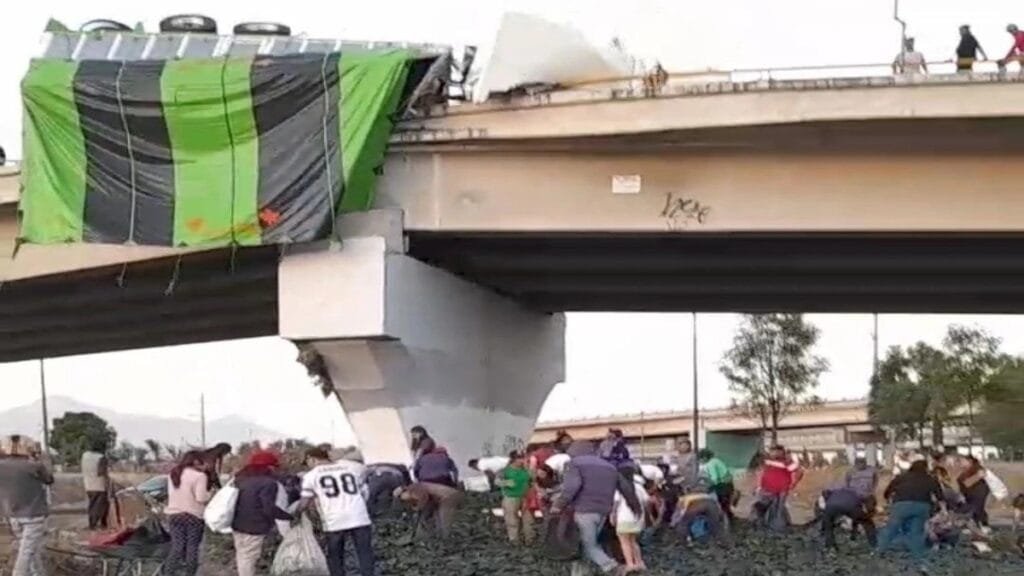 Volcadura de tráiler cargado de chile poblano en el Periférico Ecológico desata actos de rapiña