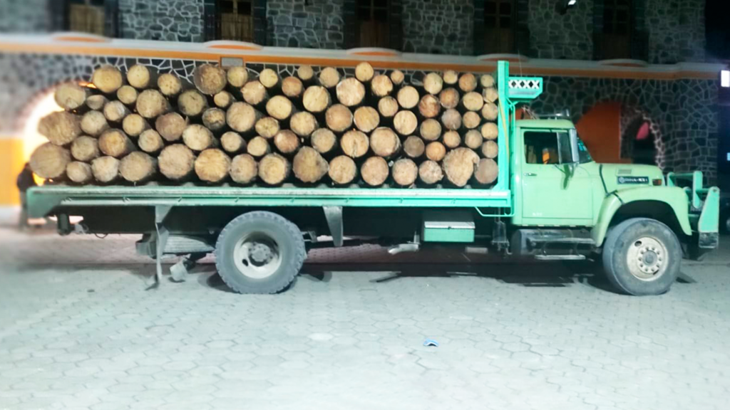 Asegura SSP camión cargado con madera de procedencia ilícita