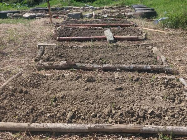 En Pantepec, IEDEP desarrolla hortalizas con sistema sustentable de producción