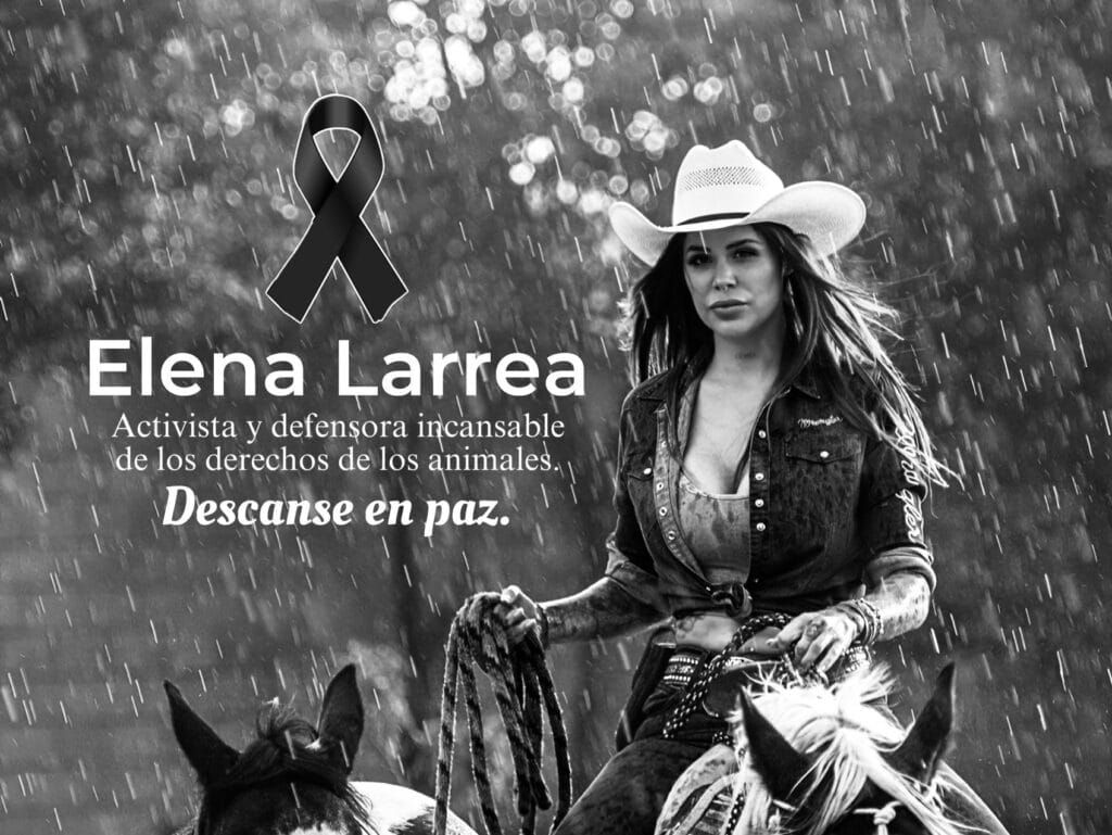 Sergio Salomón lamenta la muerte de Elena Larrea; resguardará caballos de Cuacolandia