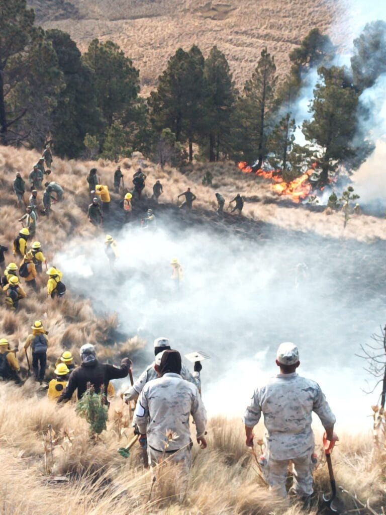 Incendios Forestales en México: situación actual y medidas de prevención