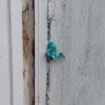 Vecinos en la colonia Patrimonio se organizan ante la inseguridad