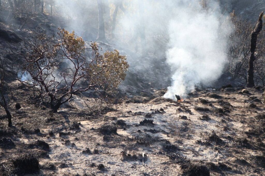 Incendio forestal en Libres, controlado en un 80% y brigadas trabajan para contener el siniestro