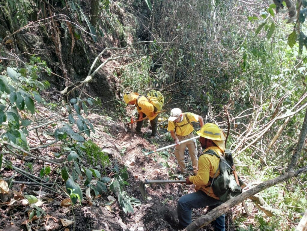 Atípica jornada de incendios; en últimas 24 horas hubo 17: Medio Ambiente