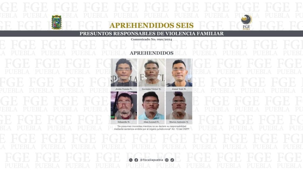 Aprehendidos seis presuntos responsables de violencia familiar