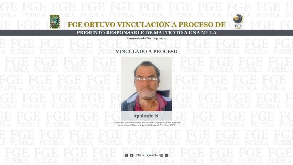 FGE obtuvo vinculación a proceso de presunto responsable de maltrato a una mula