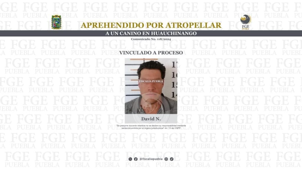 Aprehendido por atropellar a un canino en Huauchinango