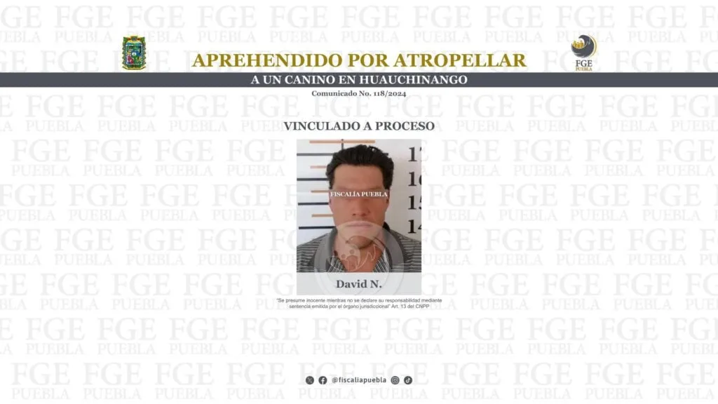 Aprehendido por atropellar a un canino en Huauchinango