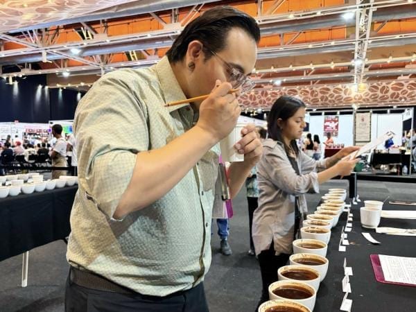 Reconocen expertos la alta calidad del café poblano