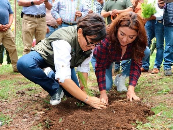 Inicia gobierno estatal entrega de 1 millón 600 mil plantas en la Sierra Norte