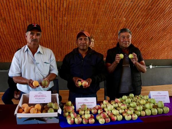 Impulsa gobierno estatal preservación de Chile en Nogada como Patrimonio Cultural Intangible