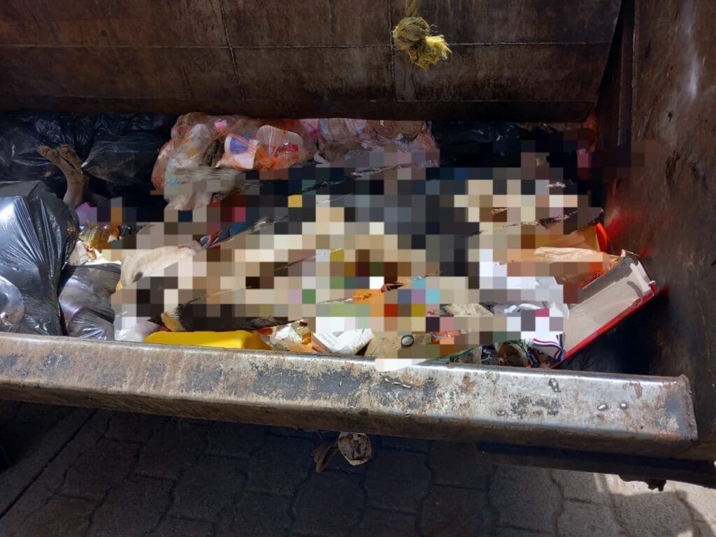 ¡Qué coraje! Envenenan perros en Huauchinango