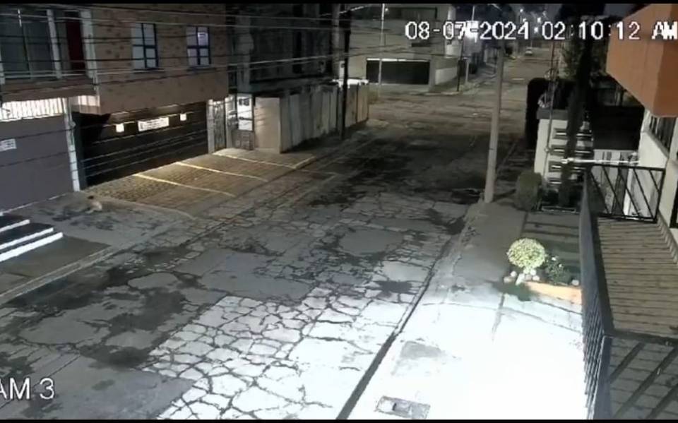 Video viral muestra la caída de un niño desde un balcón en Colonia La Paz