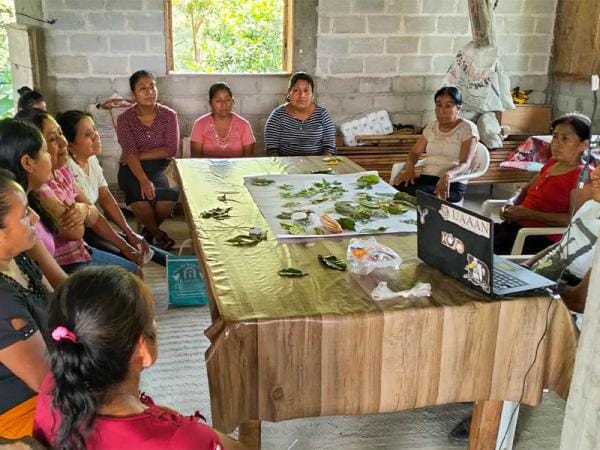 Coadyuva Pueblos Indígenas en capacitación en empleo a municipios de la Sierra Negra