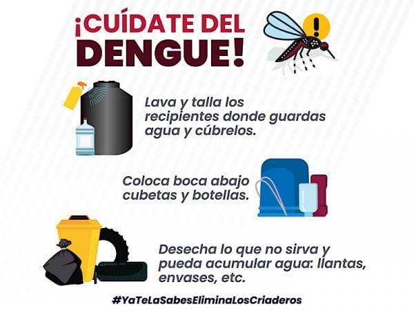 Reporta Salud 27 personas hospitalizadas por dengue