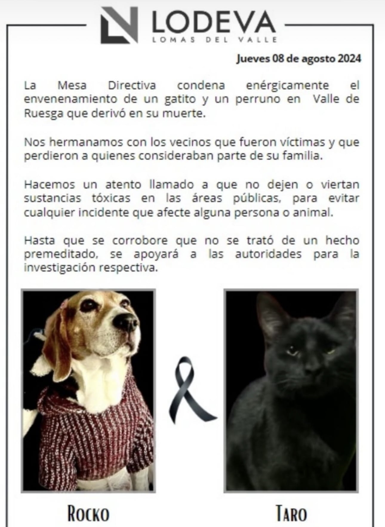 Vecinos de Lomas del Valle denuncian ola de envenenamiento de mascotas