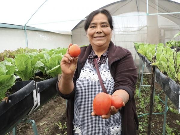 Con Módulos de Autosuficiencia, Bienestar combate carencia alimentaria