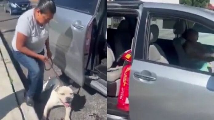 Conductor arrastra a perro en Valle Dorado; vecinos denuncian maltrato animal