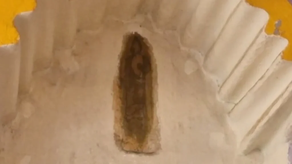 ¿Milagro? Imagen de San Judas Tadeo aparece en la casa de los Rodríguez Cruz