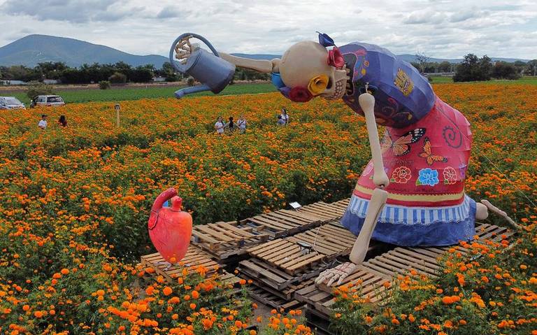 Valle de las Catrinas 2024 en Atlixco; todo lo que debes saber