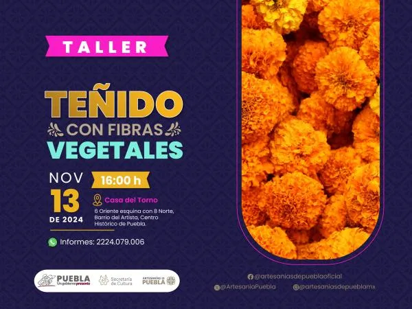 Fomenta Cultura reutilización de cempasúchil para creación de tintes sustentables