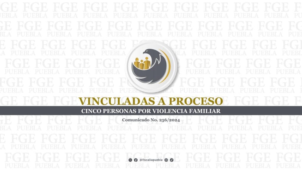 Vinculadas a proceso cinco personas por violencia familiar