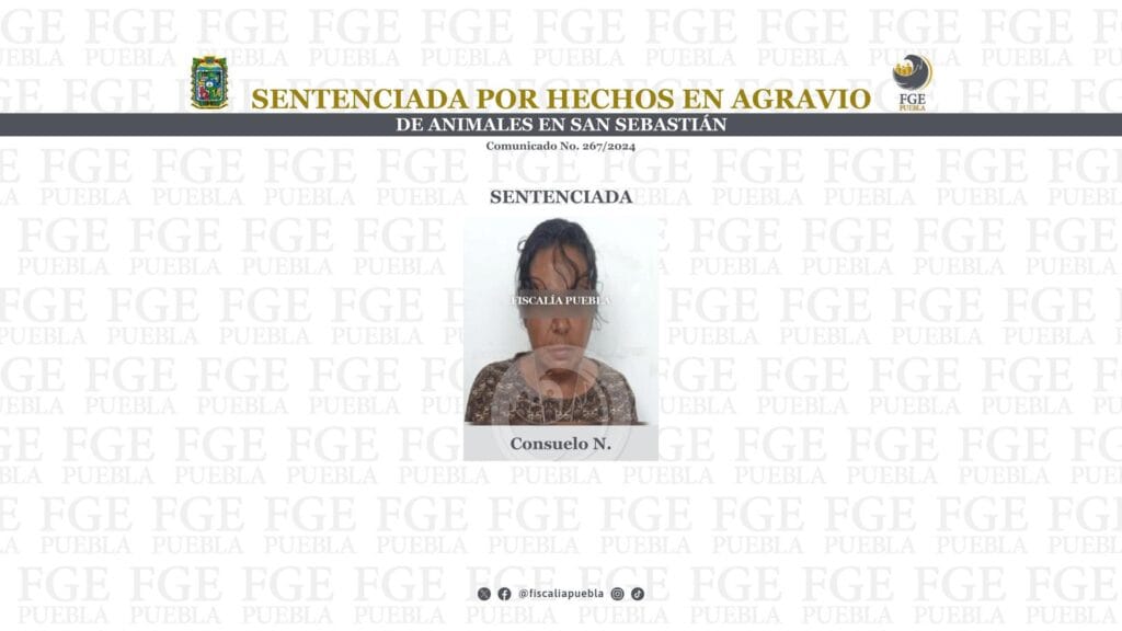 Sentenciada por hechos en agravio de animales en San Sebastián