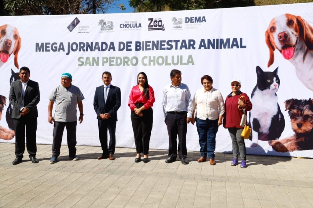 Realiza Gobierno de Cholula Mega Jornada de Esterilización