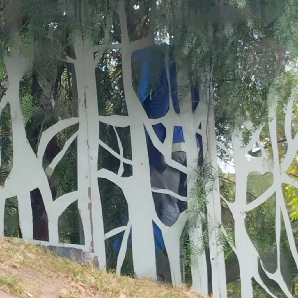 Encuentran cuerpo sin vida en Los Fuertes de Loreto