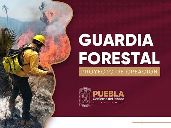 Prevención y combate de incendios, tareas de la Guardia Forestal del Estado