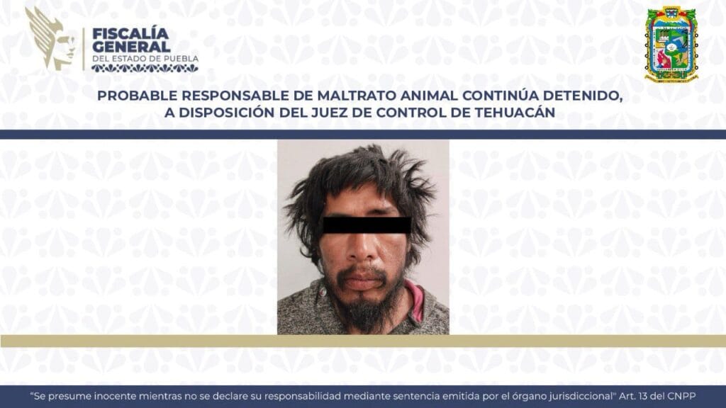Probable responsable de maltrato animal continúa detenido, a disposición del Juez de Control de Tehuacán