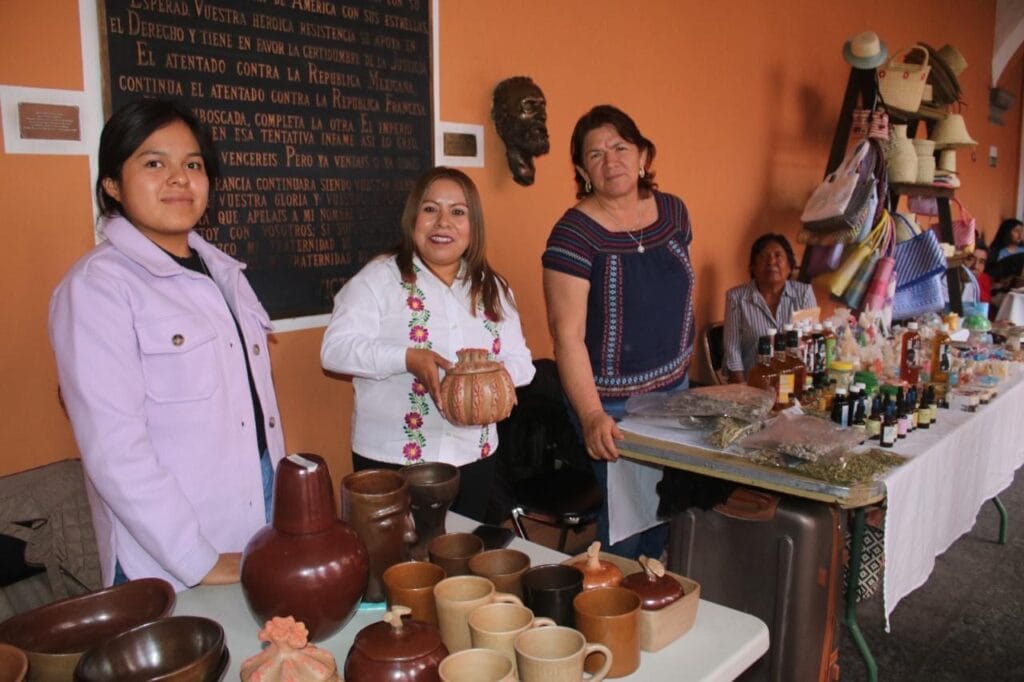 Importante seguir la lucha de los derechos de las mujeres: IPPI