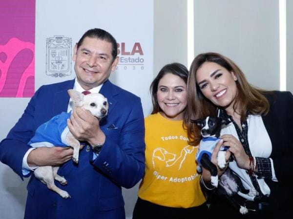 Bienestar Animal y municipios trabajan para proteger a seres sintientes