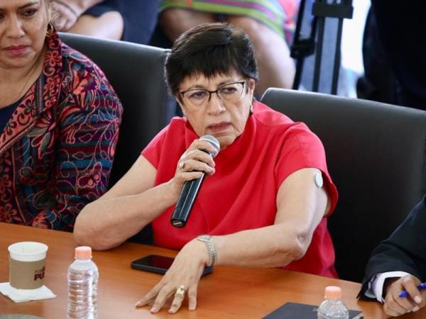 No se impedirá la circulación de unidades particulares con placas foráneas: Silvia Tanús