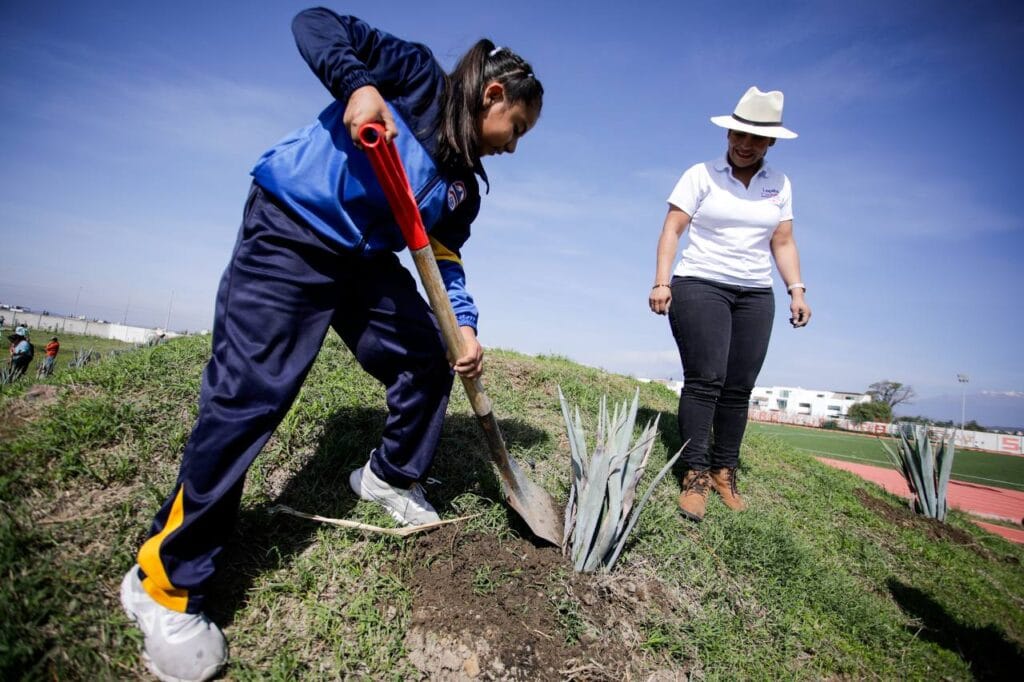 Lupita Cuautle encabeza jornada de reforestación en el CEDAT por el Día Mundial del Medio Ambiente