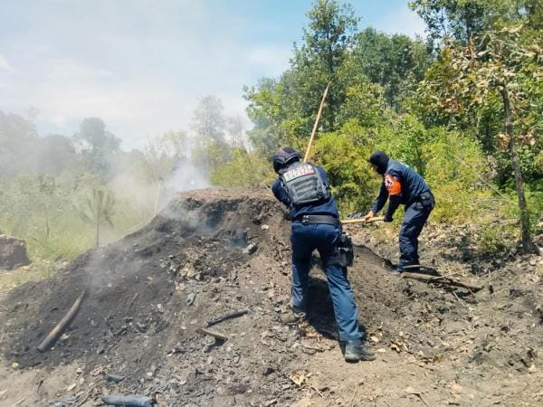 Inhabilita SSP hornos para la deshidratación ilegal de madera